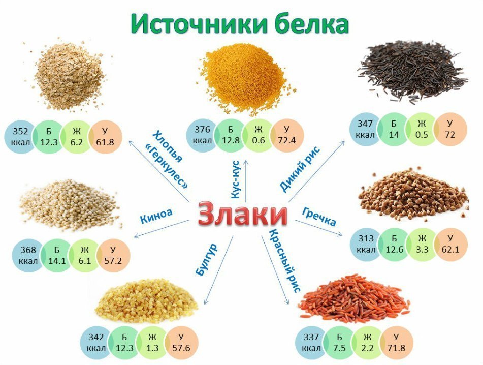 Белковая диета — список разрешенных продуктов и соотношения БЖУ