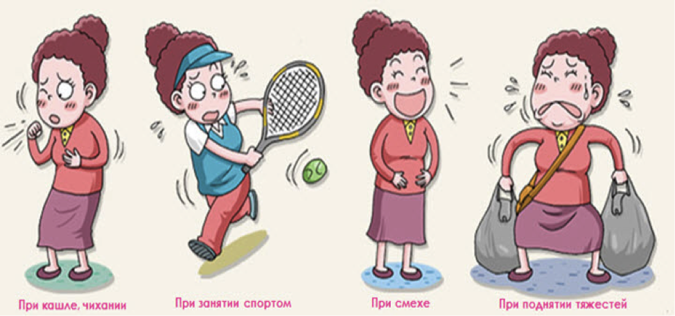 Способ избавления от недержания в период менопаузы